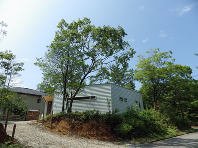 Hamamoto建築研究室